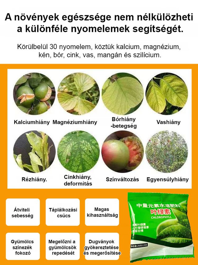【Zöldtömeg-növelő】 Vízoldékony klorofill-tápoldat