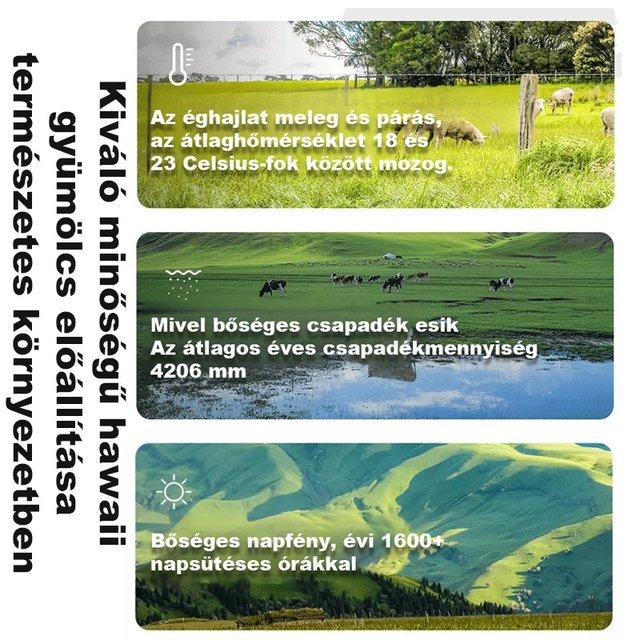 150 g nassolnivaló makadámdió