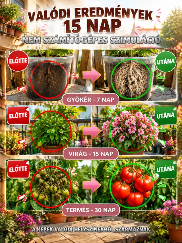 72 órás intenzív gyökereztető és virágzásserkentő por