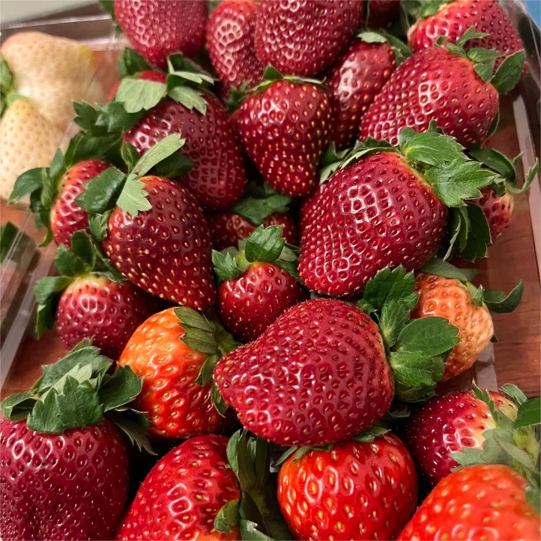 🔥⏰Utolsó napi akció🌱FEKETE GYÖNGY EPERMAGOK