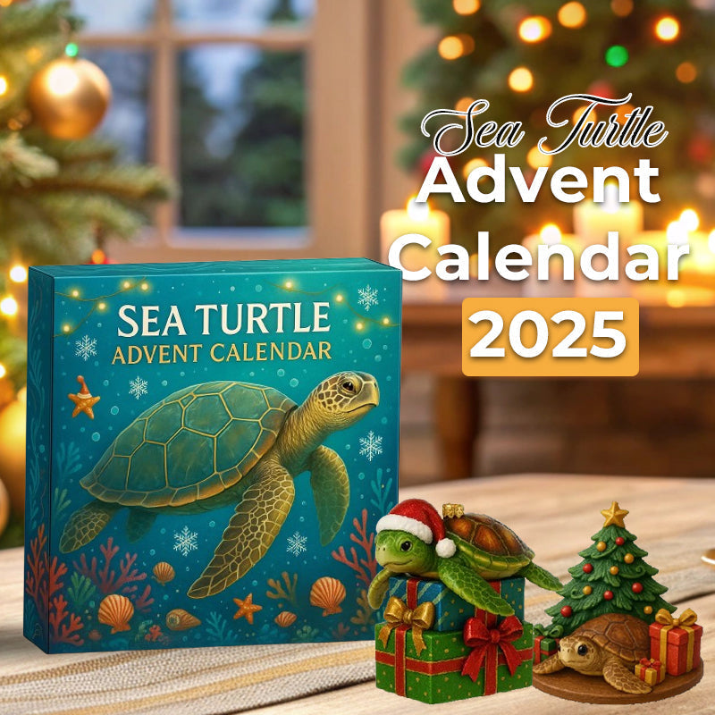 🌊🐢 Tengeri teknős adventi naptár 2025