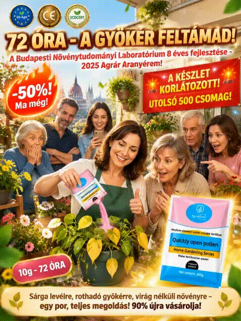 72 órás intenzív gyökereztető és virágzásserkentő por