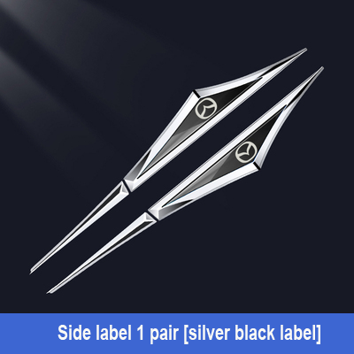 Kreatív horganyzott fém autómatricák✨2 db✨