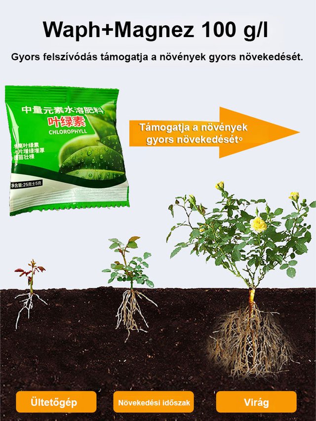 【Zöldtömeg-növelő】 Vízoldékony klorofill-tápoldat