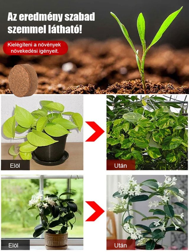 【Tíz évig nem igényel műtrágyázást】Kertészeti kókuszrost tápanyagföld