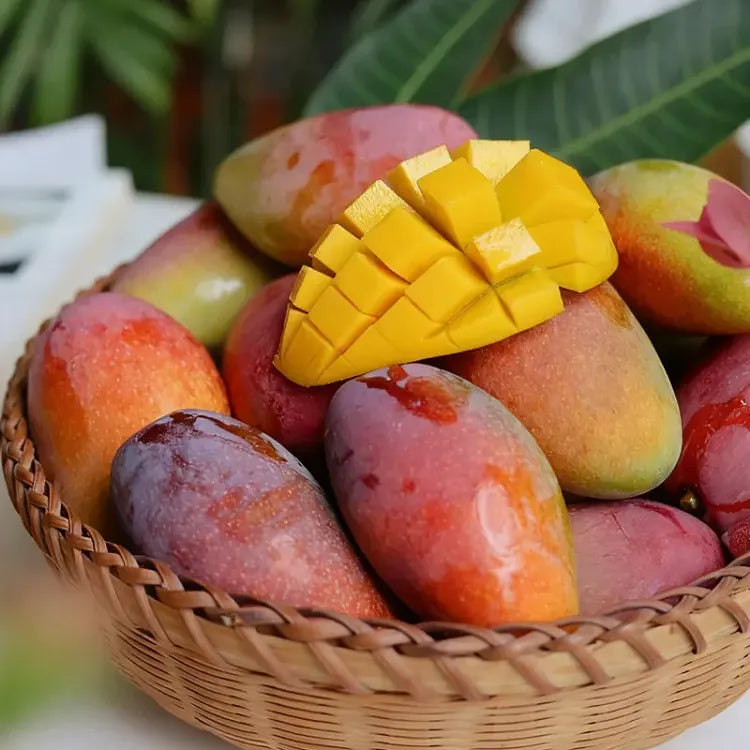 🥭 Bársonyos, édes és lédús mangópalánták – érezd a trópusok ízét a saját otthonodban 🌴
