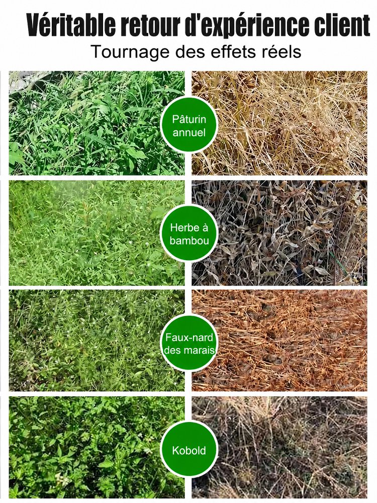 🛡️【1 üveg elegendő 20–30 L vízhez】 🌿 3 órán belül hat, gyökerestül irtja a gyomokat ✅ Alkalmas szántóföldekre, kertekbe és gyümölcsösökbe.