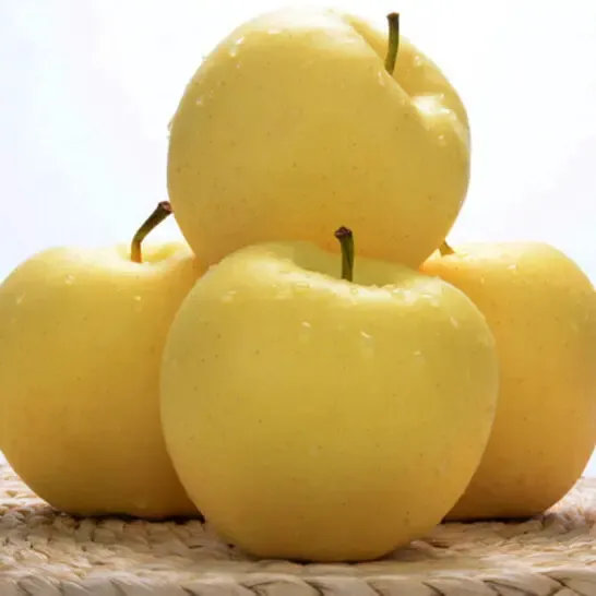 Aranyalma magvak, 90%-os túlélési arány