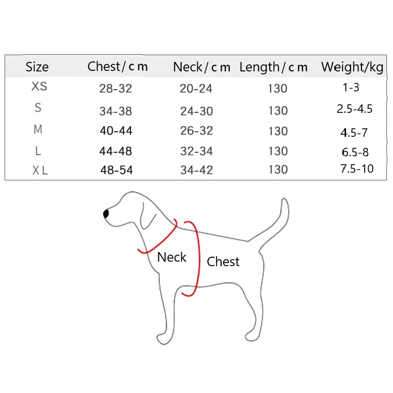 Kisállat póráz mellkaspánttal és övvel