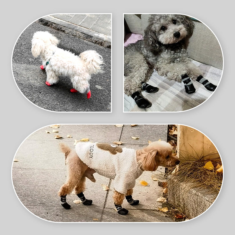 🐶2 pár csúszásmentes, vízálló kutyazokni